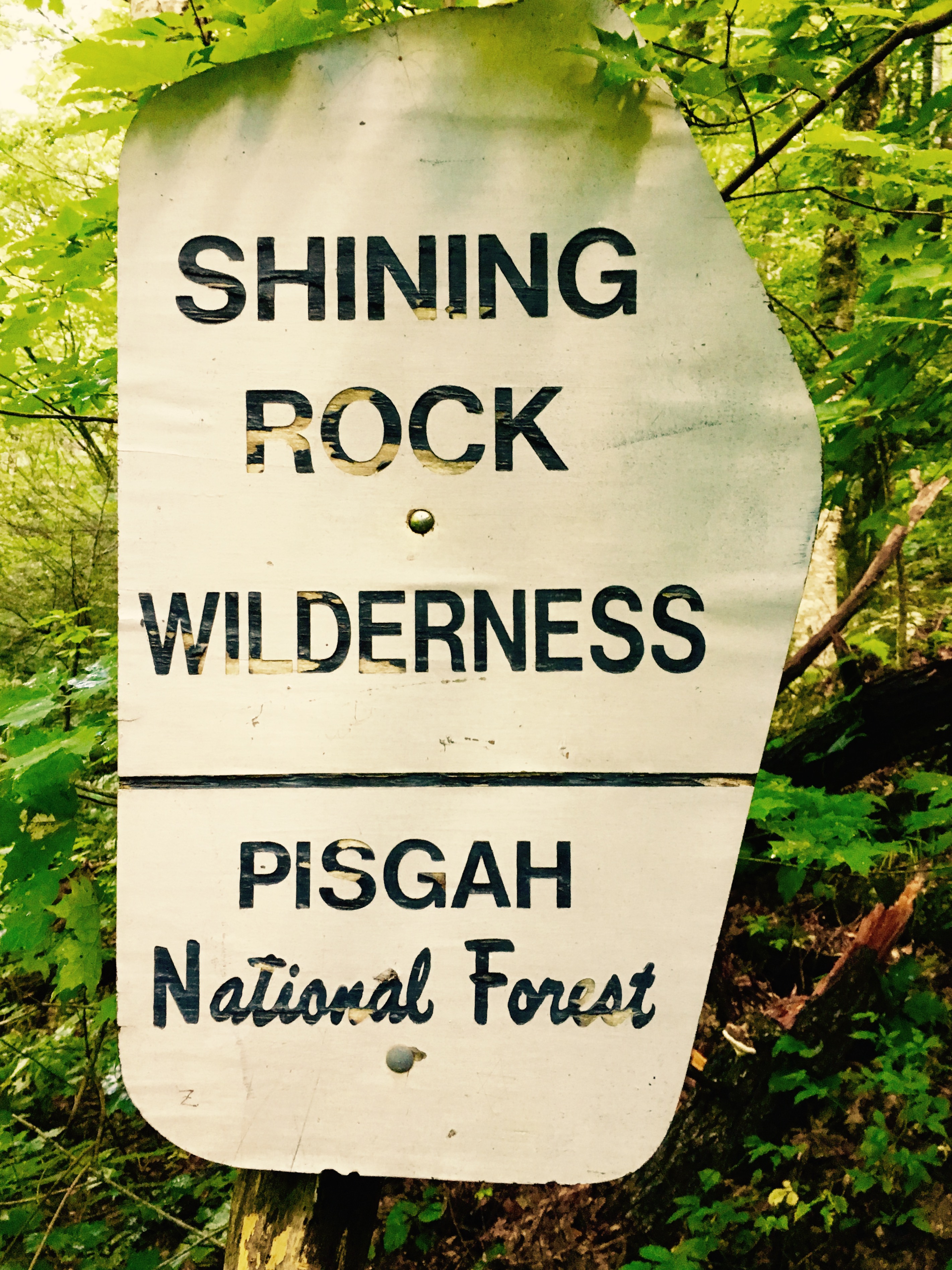 Shining Rover Rocks Shining Rock Wilderness – sweetwilder